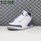 Air Jordan 3 Dark Iris CT8532-105 Men's