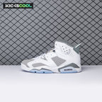 Air Jordan 6 Cool Grey CT8529-100 Men's