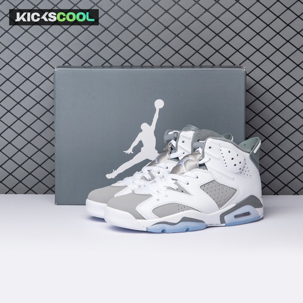 Air Jordan 6 Cool Grey CT8529-100 Men's