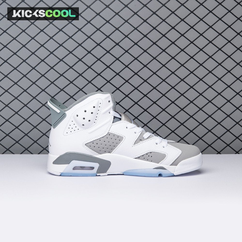 Air Jordan 6 Cool Grey CT8529-100 Men's