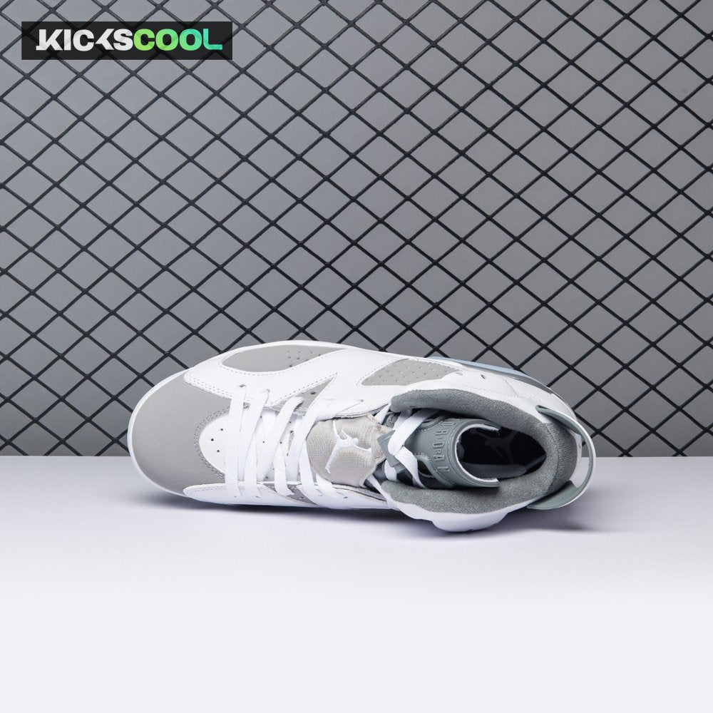 Air Jordan 6 Cool Grey CT8529-100 Men's