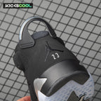 Jordan 6 Metallic Silver DX2836-001 Men's